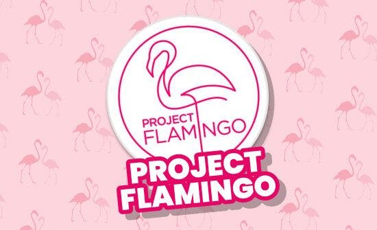 project flamingo