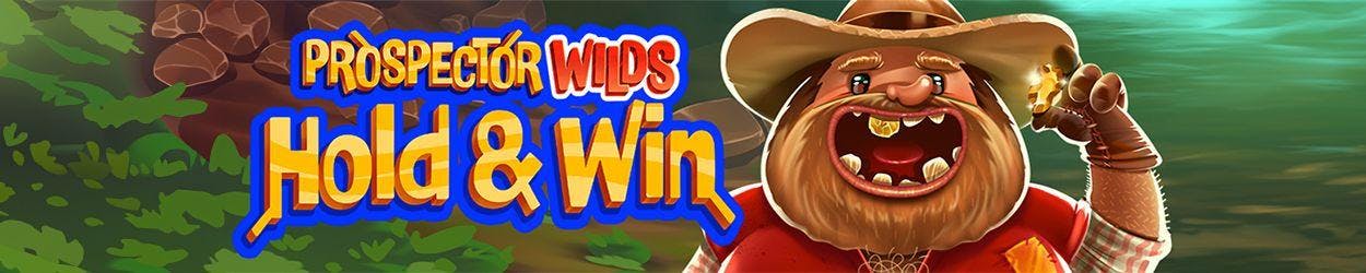 Prospector Wilds Hold And Win