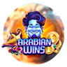 redrake-arabian-wins