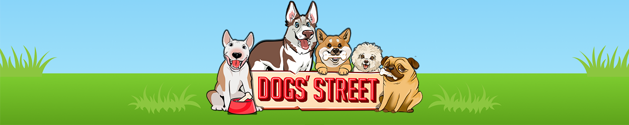 Dogs Street