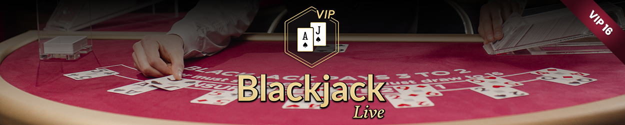 Blackjack VIP 16